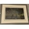On the Pond- Wood Ducks by Robert Bateman